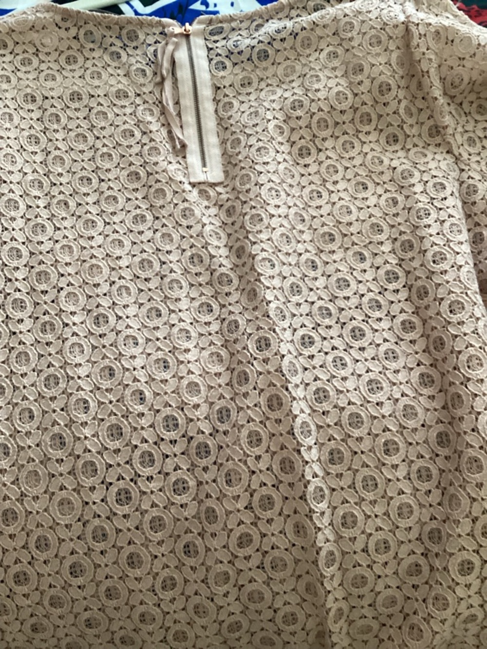 LOFT Dusty Rose Lace Cap-Sleeve Blouse - Picture 7 of 7